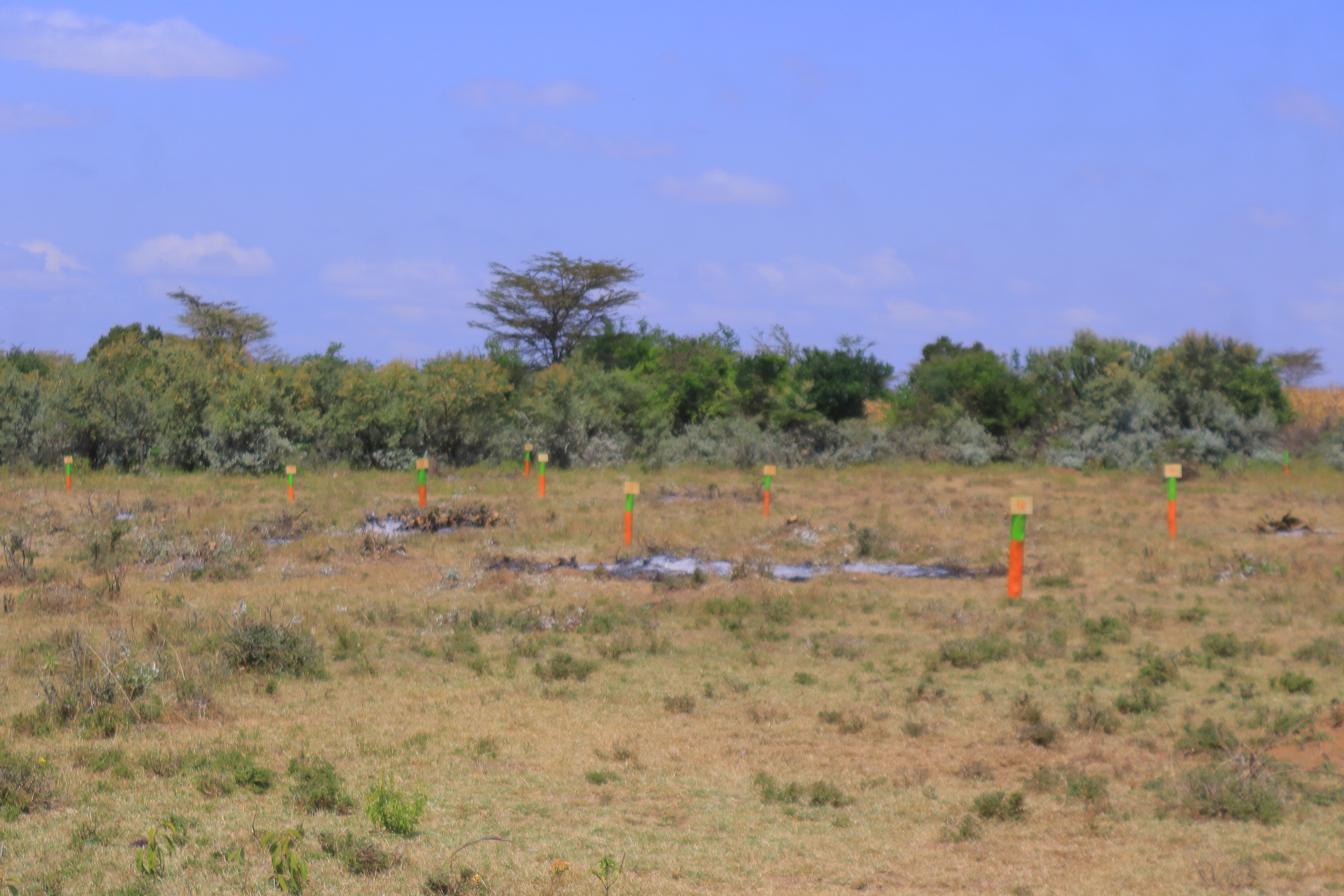 Amani Gardens Phase 7 Olerai Narok – plot access road view